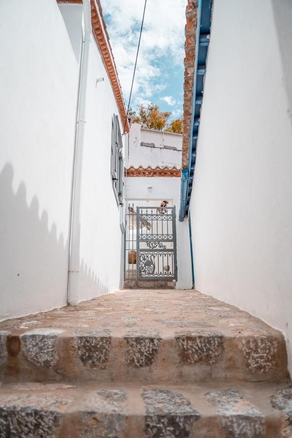 Apartment Lemon Tree - Hydra Dream *